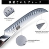 HOSHANHO Carving Slicing Knife, 10 Inch Razor Sharp Japanese Brisket Knife | Japanese High Carbon Steel Curved Butcher Breaking Knives with Ergonomic Handle, Professional Butcher Knife for Meat Cutting(10″)