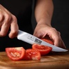 HOSHANHO Cheese Knife 5 In, Professional Japanese Kitchen Knife for Cheesee | Multipurpose Japanese High Carbon Steel Kitchen Knife with Ergonomic Pakkawood Handle for Cutting Cheesee & Tomato(4.9″)