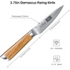 HOSHANHO Damascus Paring Knife 3.75″, Sharp Japanese HC Steel Fruit Knife | Small Kitchen Knife | Professional 67 Layers Super Steel | 15° Edge | 62 HRC Blade | Ergonomic Olive Handle | Ideal Home Gift(3.75 inch Paring Knife)