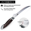 HOSHANHO Fillet Knife 9 Inch, Super Sharp Japanese Fish Boning Knife | Professional High Carbon Stainless Steel Filleting Knives for Meat Poultry Cutting(9″)