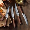 HOSHANHO Steak Knife Set of 6, Professional 4.5″ Non Serrated Steak Knives | Japanese High Carbon Steel Steak Knife Set, Ultra Sharp Dinner Knives with Ergonomic Handle for Precise Cutting & Gift Box