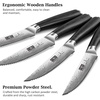 HOSHANHO Steak Knives Set of 6, 4.5 Inch Japanese Serrated Steak Knife Set | Ultra Sharp High Carbon Powder Steel Steak Knife, Effortless Cutting Dinner Knives with Pakkawood Handle, Cooking Gifts(6 Pieces Steak Knife Set)