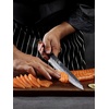 HOSHANHO Sushi Knife 10 Inch, Ultra Sharp Sashimi Knives, Rosewood Handle | Hand Forged High Carbon Steel Yanagiba Knife, Japanese Kitchen Chef Knives for Cutting Sushi & Sashimi, Fish Filleting