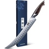 HOSHANHO Carving Slicing Knife, 10 Inch Razor Sharp Japanese Brisket Knife | Japanese High Carbon Steel Curved Butcher Breaking Knives with Ergonomic Handle, Professional Butcher Knife for Meat Cutting(10″)