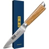 HOSHANHO Damascus Paring Knife 3.75″, Sharp Japanese HC Steel Fruit Knife | Small Kitchen Knife | Professional 67 Layers Super Steel | 15° Edge | 62 HRC Blade | Ergonomic Olive Handle | Ideal Home Gift(3.75 inch Paring Knife)