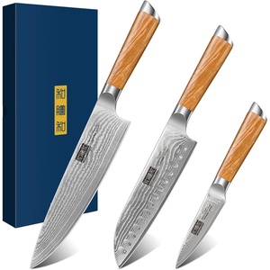 HOSHANHO Damascus Kitchen Knife Set 5PCS, Sharp Chef Knives Ergonomic Grip | Professional Cooking Knife Set | Japanese Super Steel | 15° Edge | 62 HRC | Ergonomic Olive Wood Handle | Housewarming Gift(3 Pieces Knife Set)