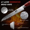HOSHANHO 8″ Damascus Bread Knife, Ultra Sharp Serrated Sourdough Knife | 67 Layers Damascus Steel, Ultra Sharp Bread Knife with Ergonomic G10 Handle, Professional Serrated Knife for Homemade Bread(8″)