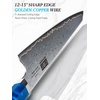 HOSHANHO 8″ Damascus Chef Knife, 67-Layer Damascus Steel Kitchen Knife | Ultra Sharp Japanese Cooking Knives, Ergonomic Blue Resin Stabilized Wood Handle with Wood Gift Box(3-Piece Knife Set)
