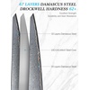HOSHANHO 8″ Damascus Chef Knife, 67-Layer Damascus Steel Kitchen Knife | Ultra Sharp Japanese Cooking Knives, Ergonomic Blue Resin Stabilized Wood Handle with Wood Gift Box(3-Piece Knife Set)