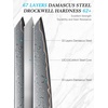 HOSHANHO 8″ Damascus Chef Knife, 67-Layer Damascus Steel Kitchen Knife | Ultra Sharp Japanese Cooking Knives, Ergonomic Blue Resin Stabilized Wood Handle with Wood Gift Box(4″)