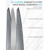 HOSHANHO 8″ Damascus Chef Knife, 67-Layer Damascus Steel Kitchen Knife | Ultra Sharp Japanese Cooking Knives, Ergonomic Blue Resin Stabilized Wood Handle with Wood Gift Box(8″)