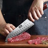 HOSHANHO Damascus Santoku Knife, 7 Inch Professional Japanese Kitchen Knife | 67 Layers Damascus Steel, Ultra Sharp Chef Knife with Ergonomic G10 Handle, Cooking Knife for Meat, Vegetables & Gift Box(7″)