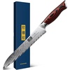 HOSHANHO 8″ Damascus Bread Knife, Ultra Sharp Serrated Sourdough Knife | 67 Layers Damascus Steel, Ultra Sharp Bread Knife with Ergonomic G10 Handle, Professional Serrated Knife for Homemade Bread(8″)
