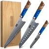 HOSHANHO 8″ Damascus Chef Knife, 67-Layer Damascus Steel Kitchen Knife | Ultra Sharp Japanese Cooking Knives, Ergonomic Blue Resin Stabilized Wood Handle with Wood Gift Box(3-Piece Knife Set)