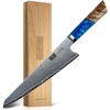 HOSHANHO 8″ Damascus Chef Knife, 67-Layer Damascus Steel Kitchen Knife | Ultra Sharp Japanese Cooking Knives, Ergonomic Blue Resin Stabilized Wood Handle with Wood Gift Box(8″)