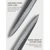 HOSHANHO 10 Inch Japanese Bread Knife, Super Sharp Serrated Bread Knife(9.9″)